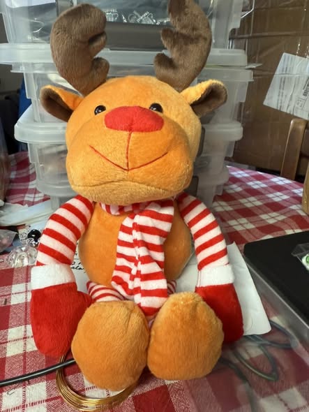 14” Rudolph plush. Comes with blank white sublimation shirt for plush. Or use your Circuit to creates custom gift.