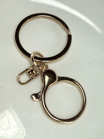 Spring clip with swivel and key ring