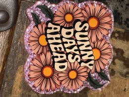 Badge reel acrylics new 12/14/2025