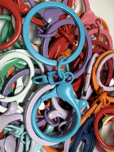 Spring clip with swivel and key ring