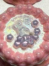 14mm fully decorated Easter cake