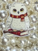 Badge reel acrylics 1/6/26, 1/12/26