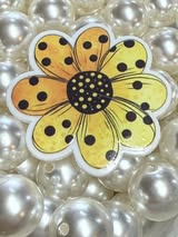 Badge reel acrylics 1/6/26, 1/12/26