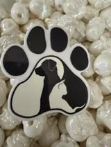 Badge reel acrylics 1/26/26