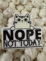 Badge reel acrylics 1/26/26