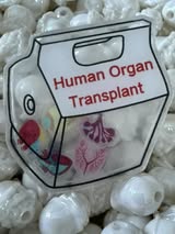 Badge reel acrylics 1/26/26