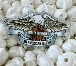 Badge reel acrylics 1/26/26