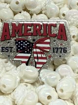 Badge reel acrylic 3/30/2026