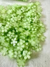 8mm brilliant color nail charm flowers
