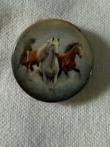 acrylic focals: Animals